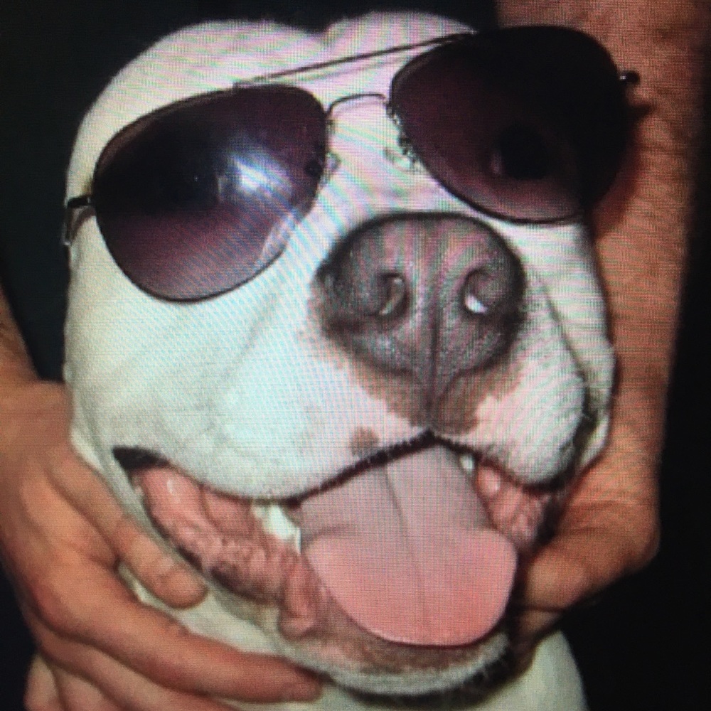 Meet your Posher, Cody